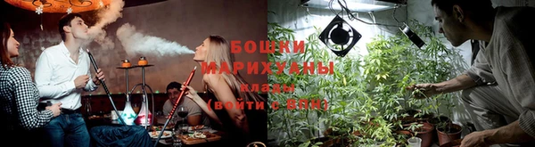 PSILOCYBIN Баксан